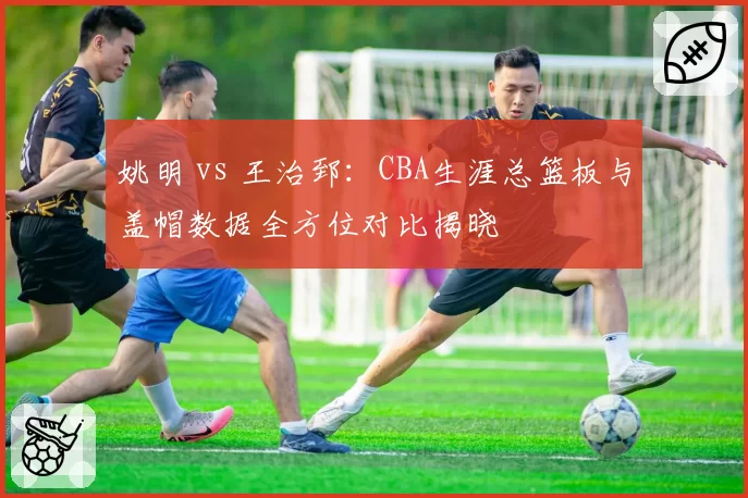 姚明 vs 王治郅：CBA生涯总篮板与盖帽数据全方位对比揭晓