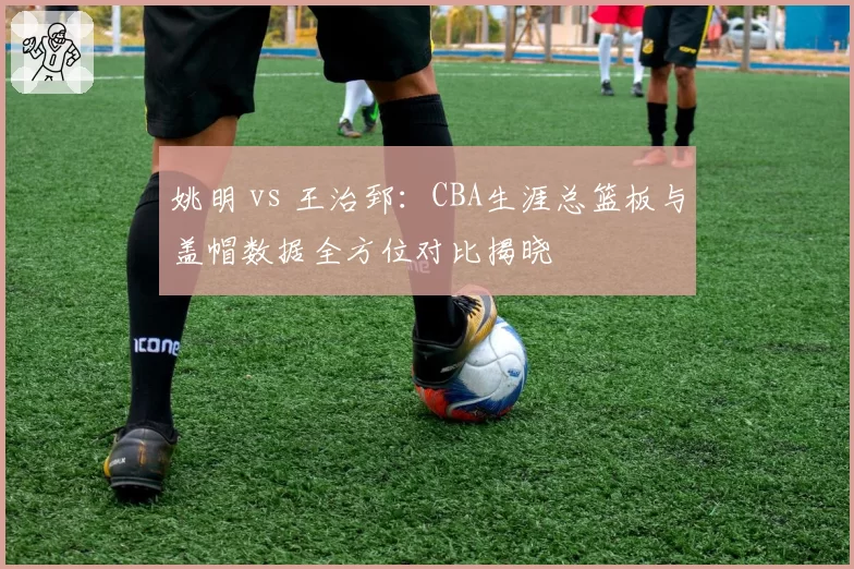 姚明 vs 王治郅：CBA生涯总篮板与盖帽数据全方位对比揭晓